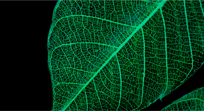 販売業務 Sales Operations