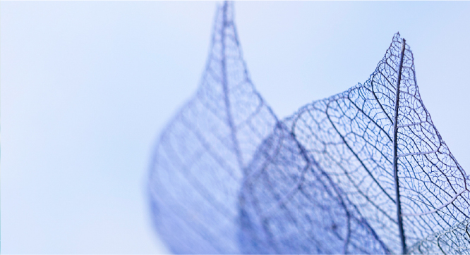 有価(買取)業務 Purchase