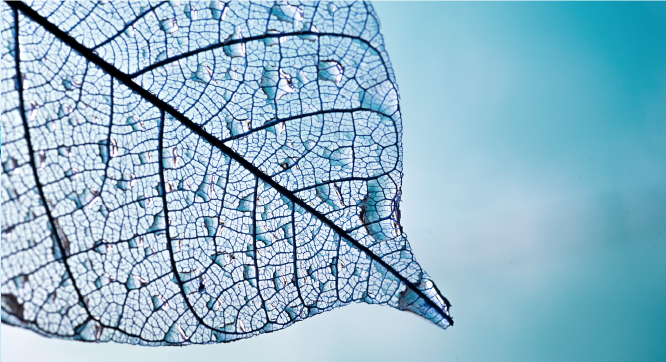 濾過装置販売・メンテナンス Filter System