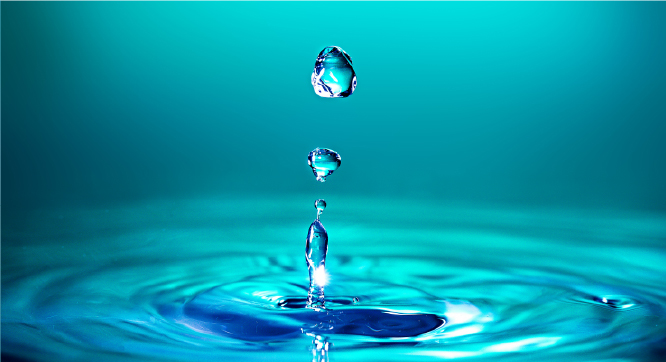 産業廃棄物収集業務 Industrial Waste