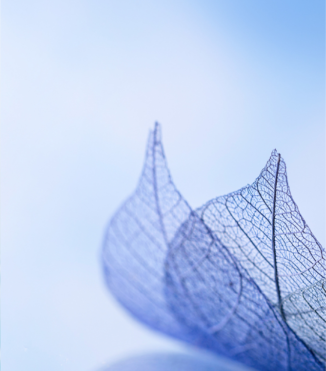 有価（買取）業務 Purchase