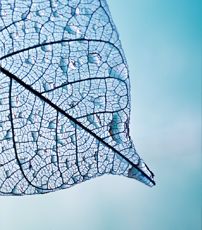 濾過装置販売・メンテナンス Filter System