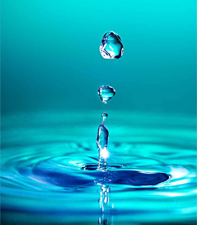 産業廃棄物収集業務 Industrial Waste