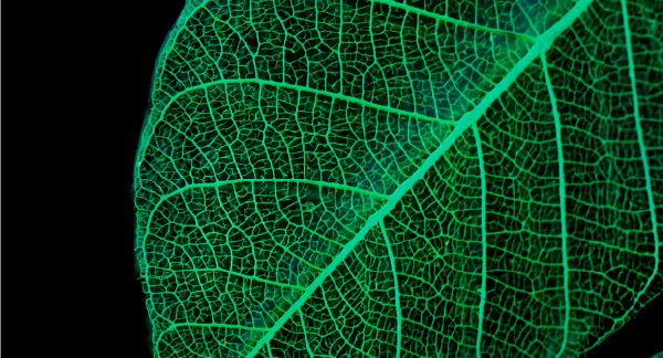 販売業務 Sales Operations