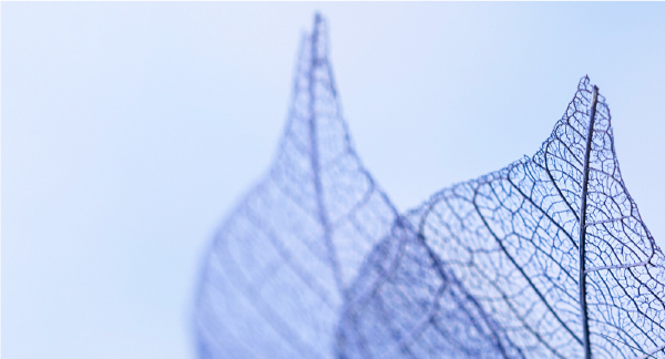 有価（買取）業務 Purchase