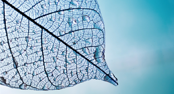 濾過装置販売・メンテナンス Filter System