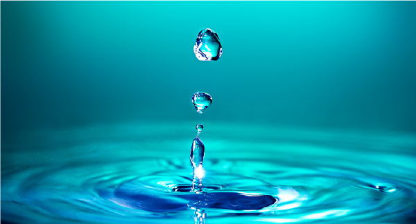 産業廃棄物収集業務 Industrial Waste